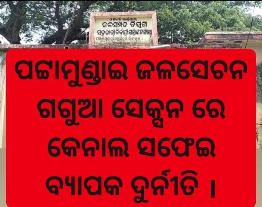 ପଟ୍ଟାମୁଣ୍ଡାଇ ଜଳସମ୍ପଦ ବିଭାଗ ଗଗୁଆ ସେକ୍ସନ  ରେ  କେନାଲ ସଫେଇ ନାଁ ରେ ବ୍ୟାପକ ଦୁର୍ନୀତି  |