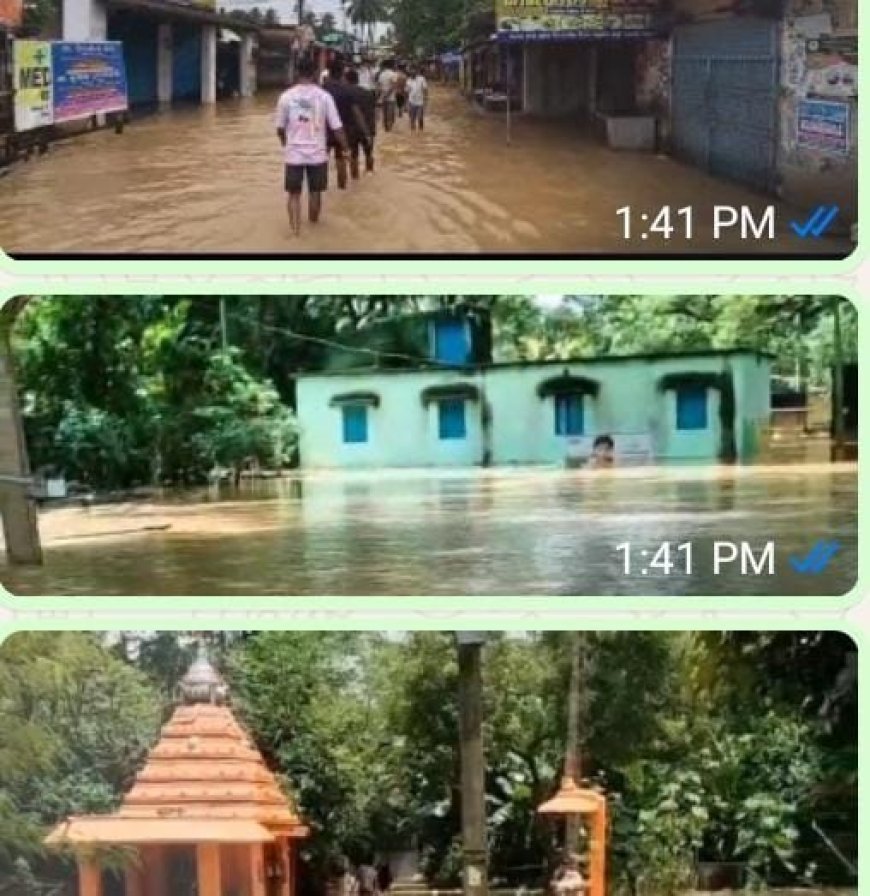 ବନ୍ୟାଞ୍ଚଳ  ପରିଚାଳନା ରେ ପଟ୍ଟାମୁଣ୍ଡାଇ ବ୍ଲକ ପ୍ରଶାସନ ବିଫଳ ।