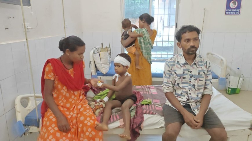 ବାଘ ଆତଙ୍କ ମୃତ୍ୟୁ ମୁଖ ରୁ ଝିଅ କୁ ଉଦ୍ଧାର କଲା ମାଆ