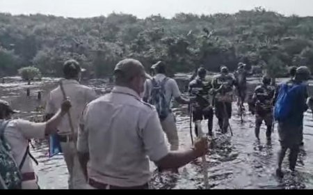 ଭିତରକନିକା ରେ ଦେଶୀୟ ପକ୍ଷୀଙ୍କ ଗଣନା ଶେଷ ଓ ବହୁ ପକ୍ଷୀ ଙ୍କ ଆଗମନ ରେ  ଖୁସିବ୍ୟକ୍ତ କରିଛନ୍ତି ଭିତରକନିକା ର ବନାଞ୍ଚଳ ଅଧିକାରୀ ଚିତ୍ରସେନ ଜେନା।